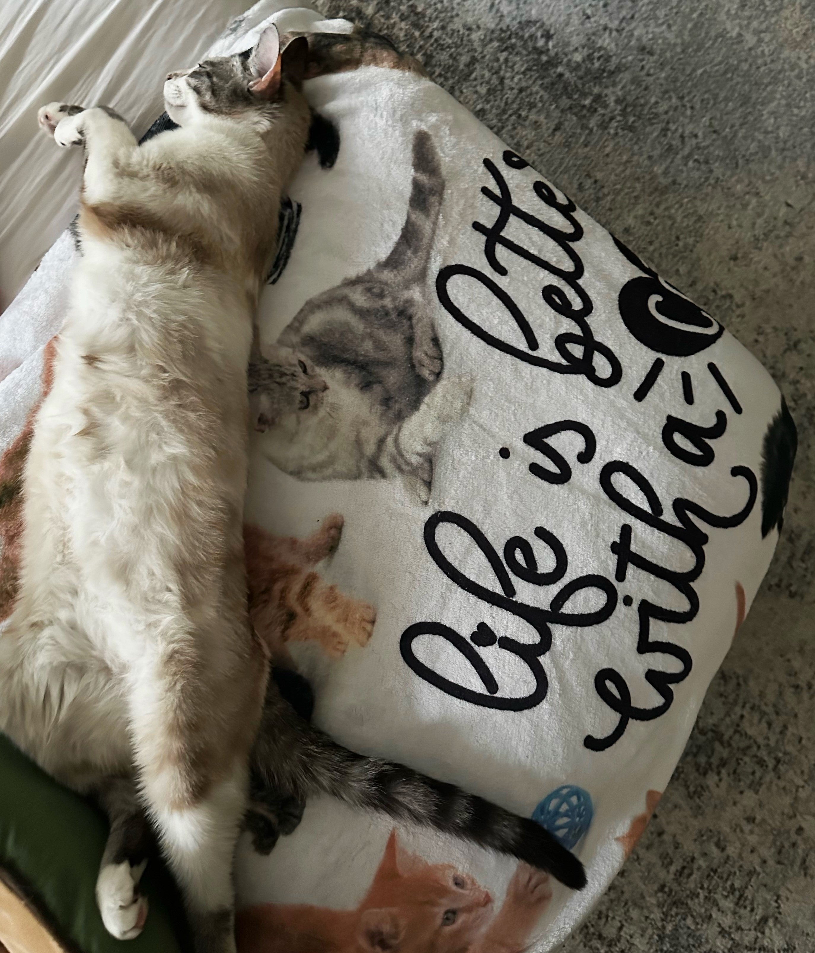 Life Is Better With a Cat Throw Blanket