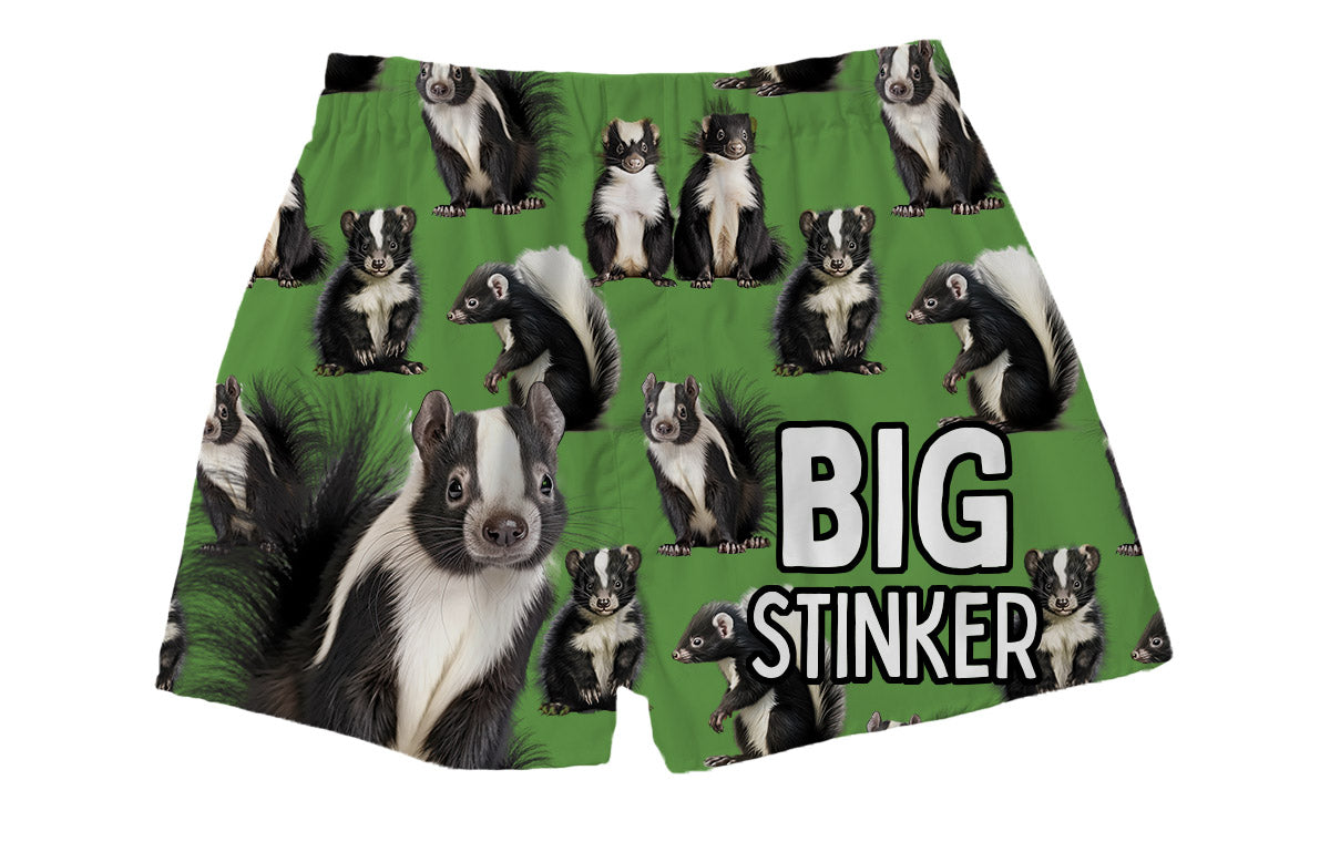 BRIEF INSANITY Big Stinker Boxer Shorts