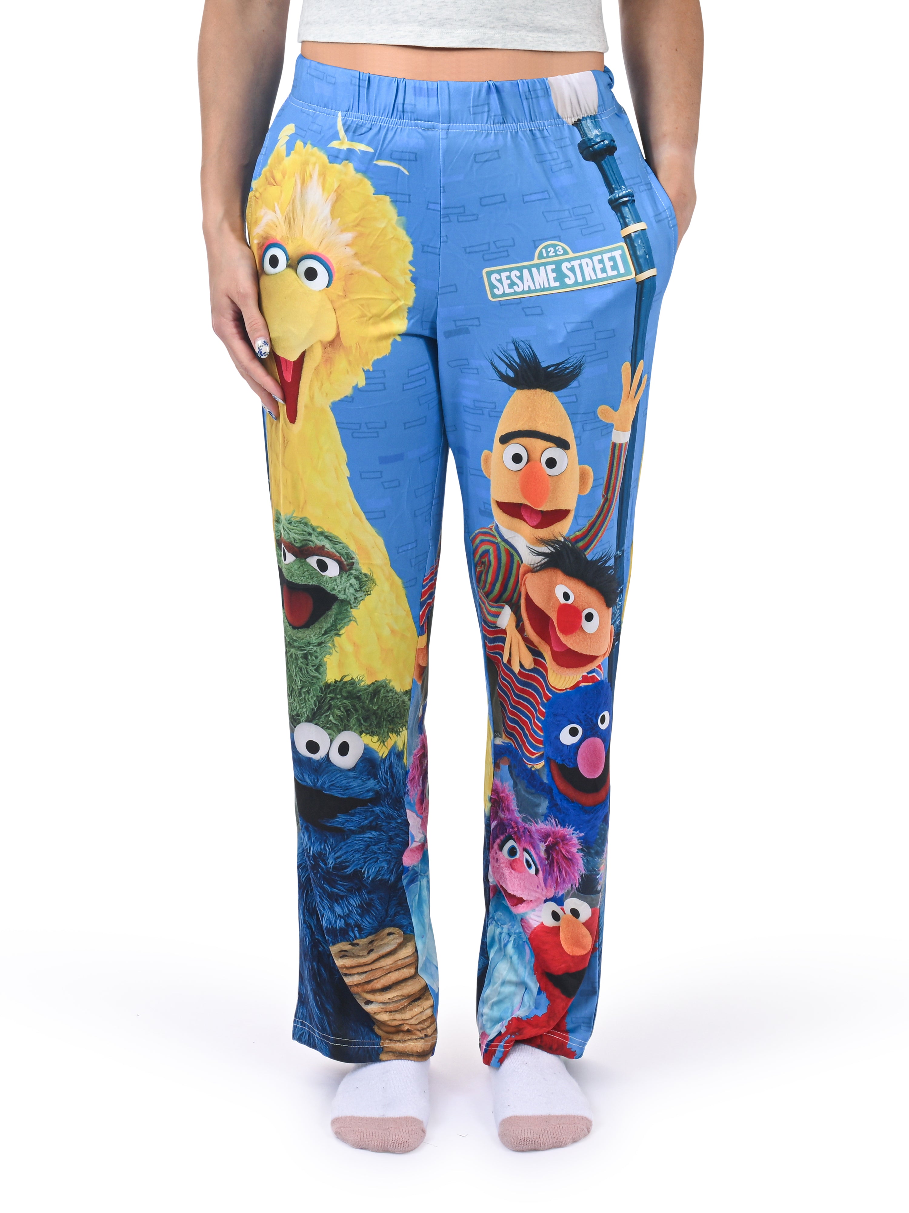 Sesame Street Group Lounge Pants front view