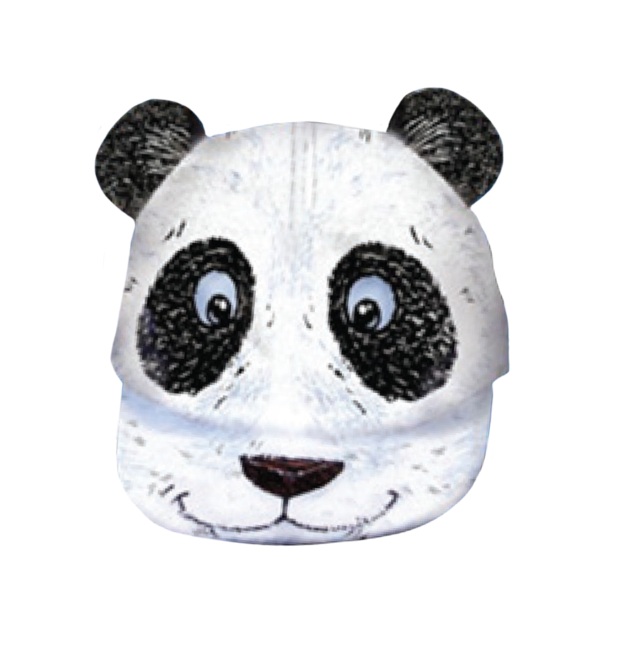 BRIEF INSANITY Panda Kid's Cap