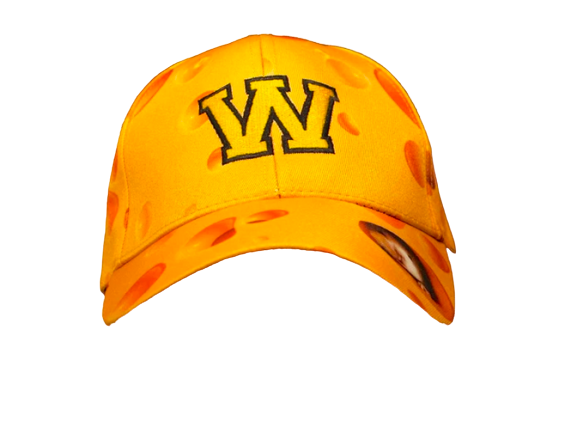 BRIEF INSANITY Wisconsin Cheese Adult Hat