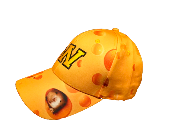 Wisconsin Cheese Adult Hat