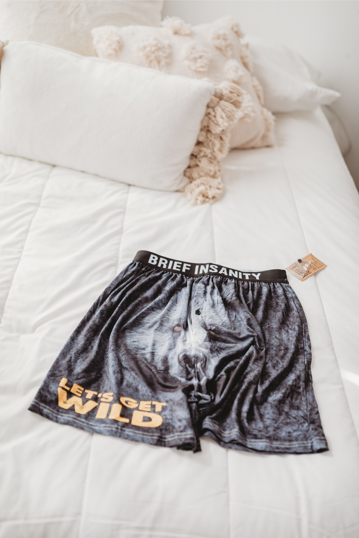 Bear Boxer Shorts Brief Insanity Brief Insanity