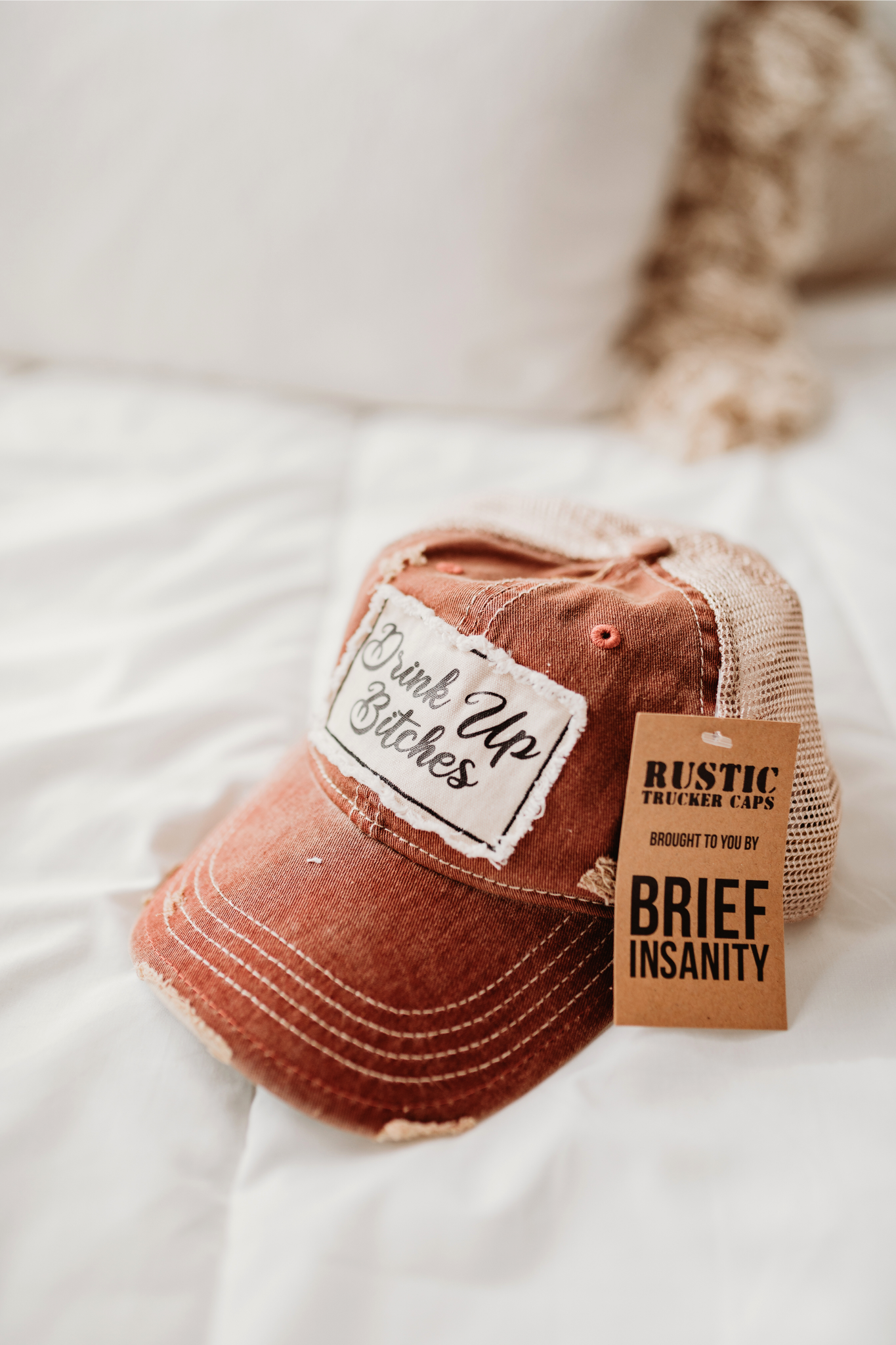 BRIEF INSANITY Drink up Bitches Vintage Trucker Adult hat