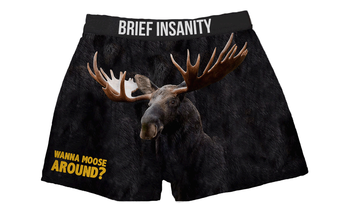 BRIEF INSANITY Wanna Moose Around Boxer Shorts