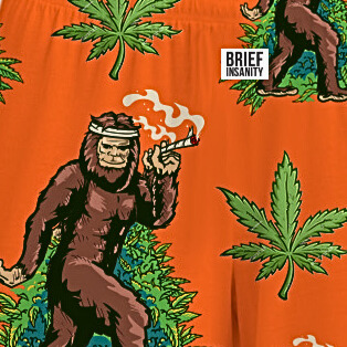 Loner Stoner Pants close up view 