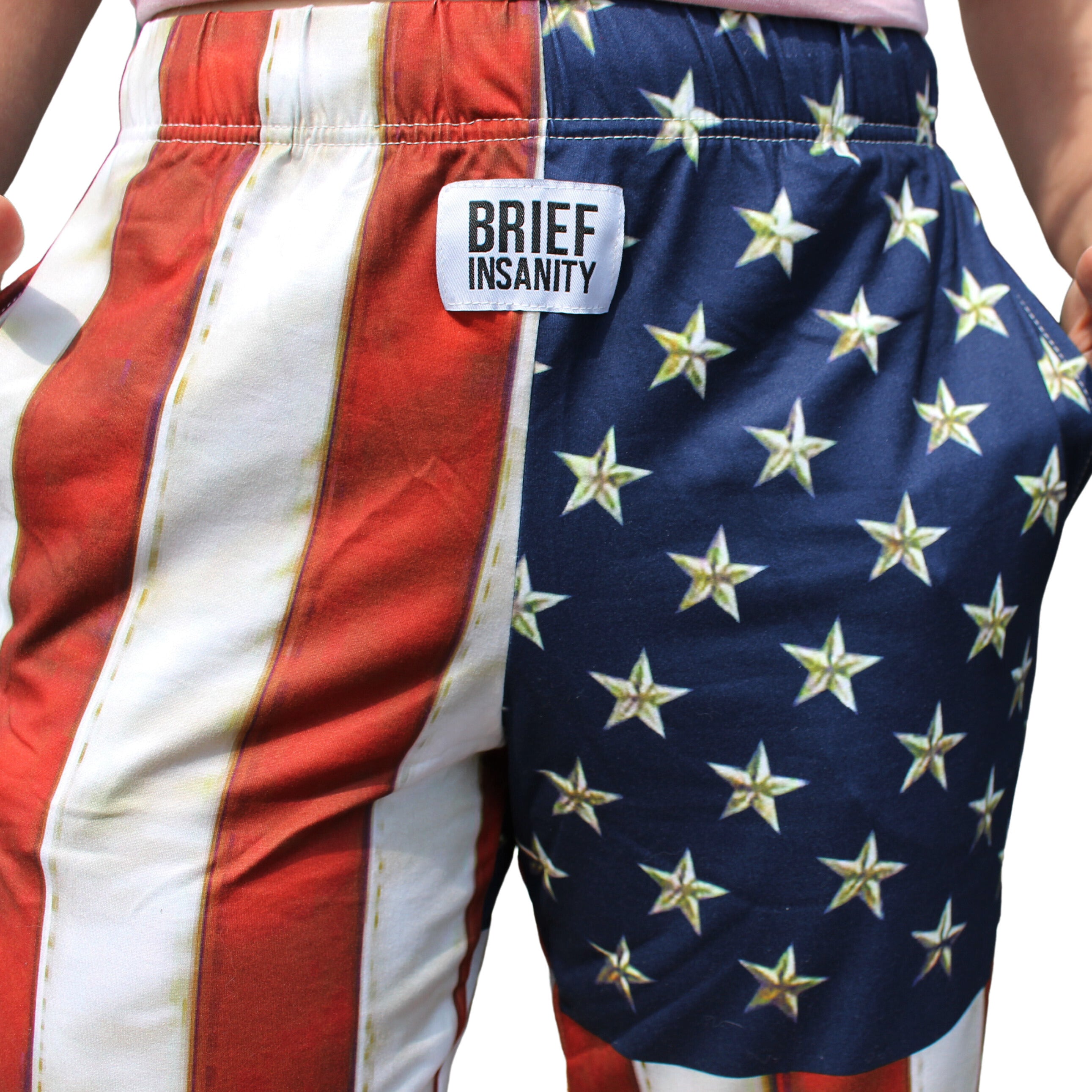 Brief Insanity American Flag Pants on model