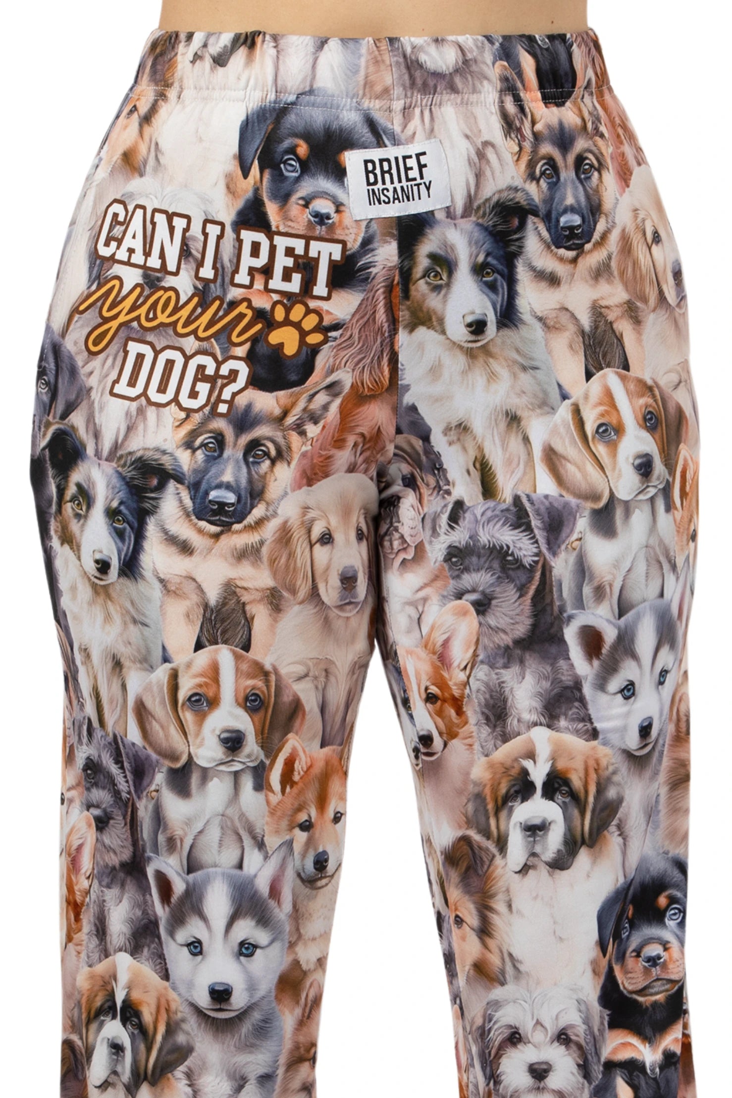 Can I Pet Your Dog? Pajama Lounge Pants