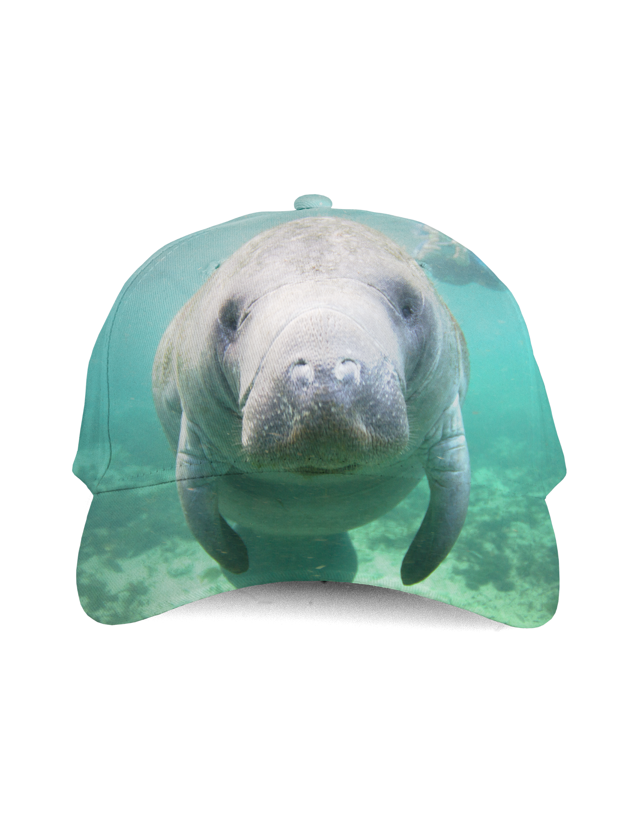 BRIEF INSANITY Manatee Kids Cap