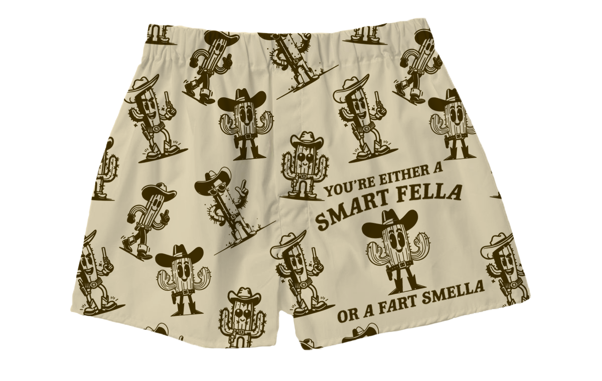 BRIEF INSANITY's Smart Fella or Fart Smella Boxer Shorts