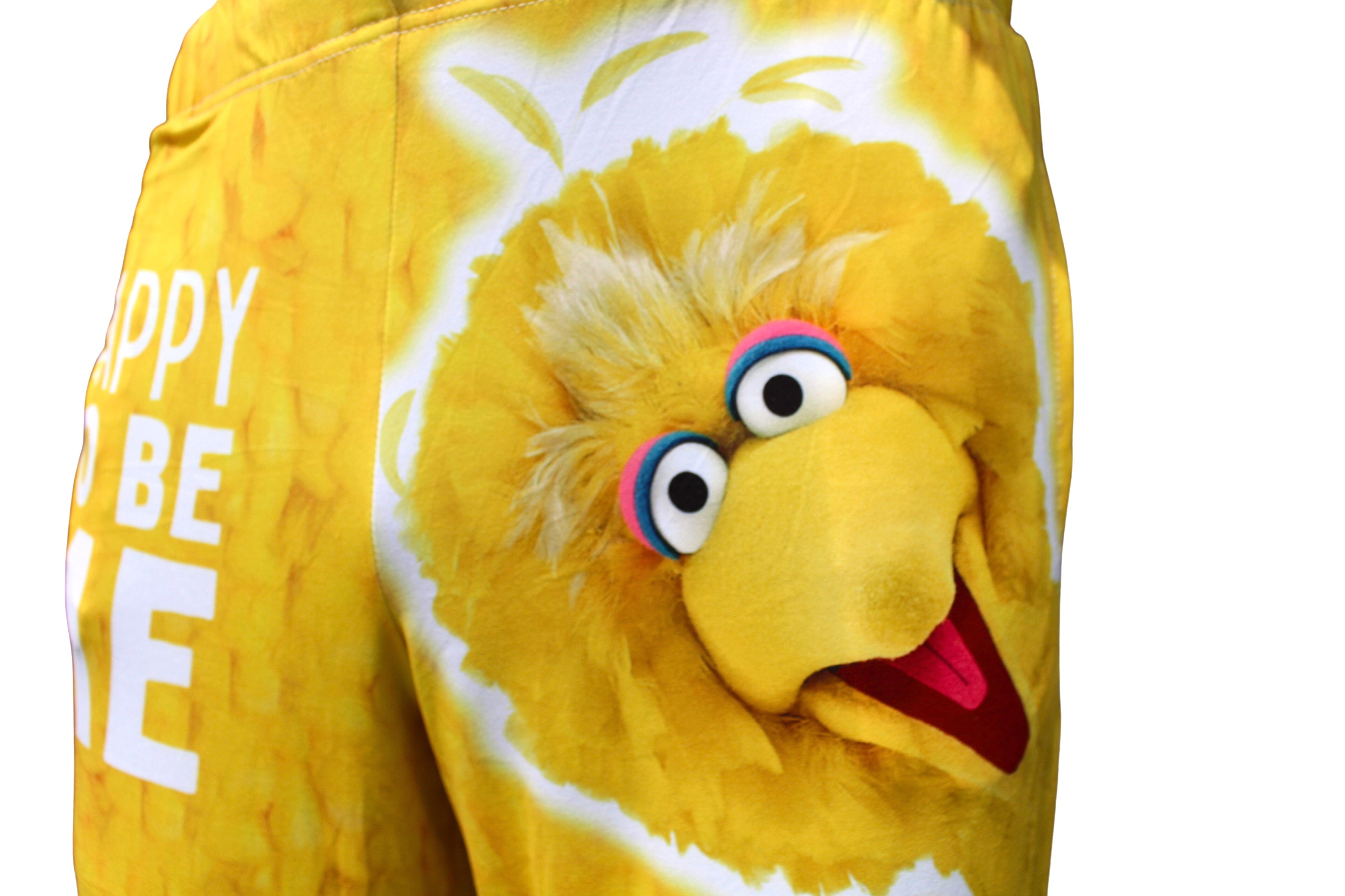 Sesame Street Big Bird Pajama Lounge Pants on model close up front view of big bird graphic