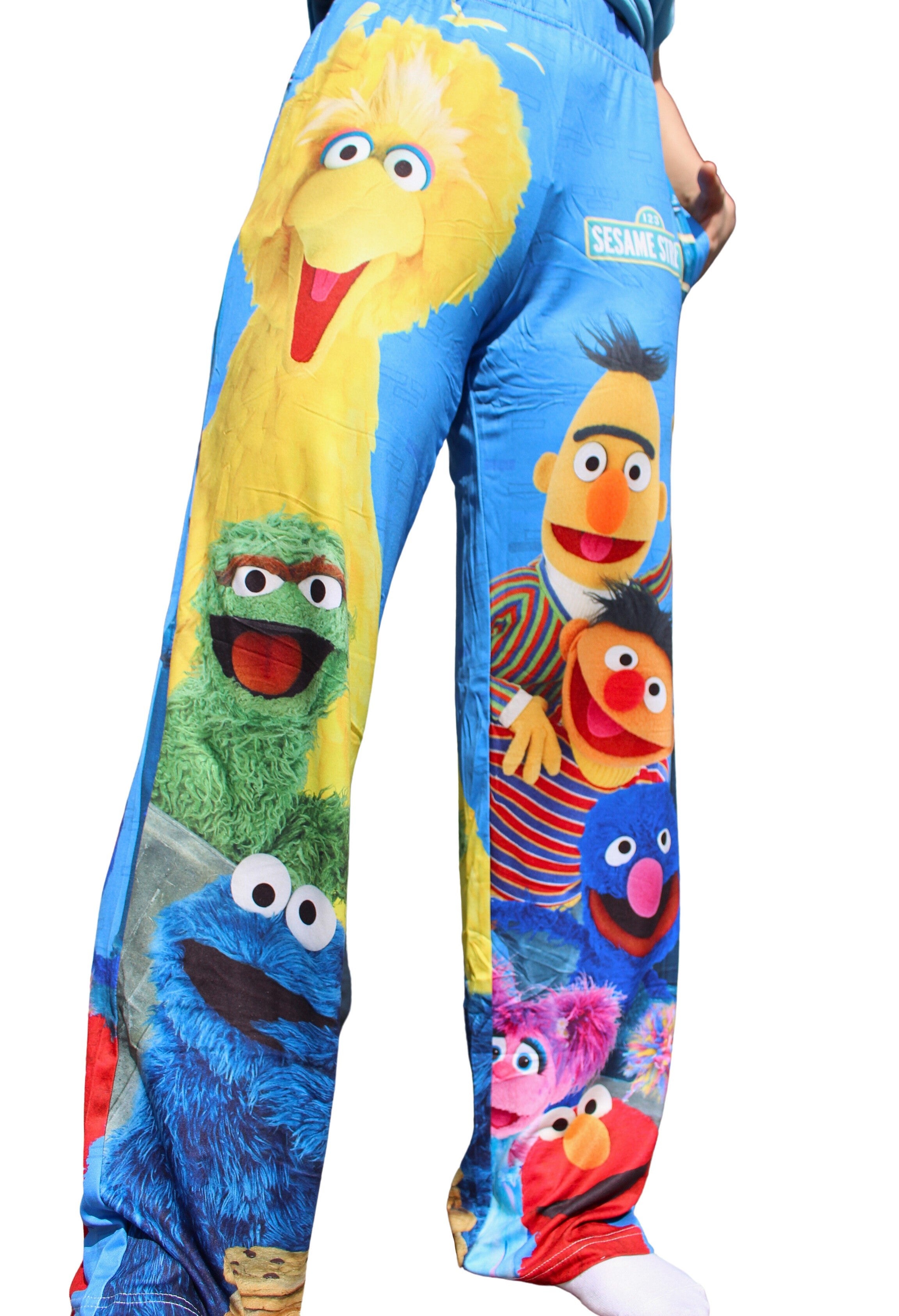 Sesame Street Group pants on model side angle/front waist down view