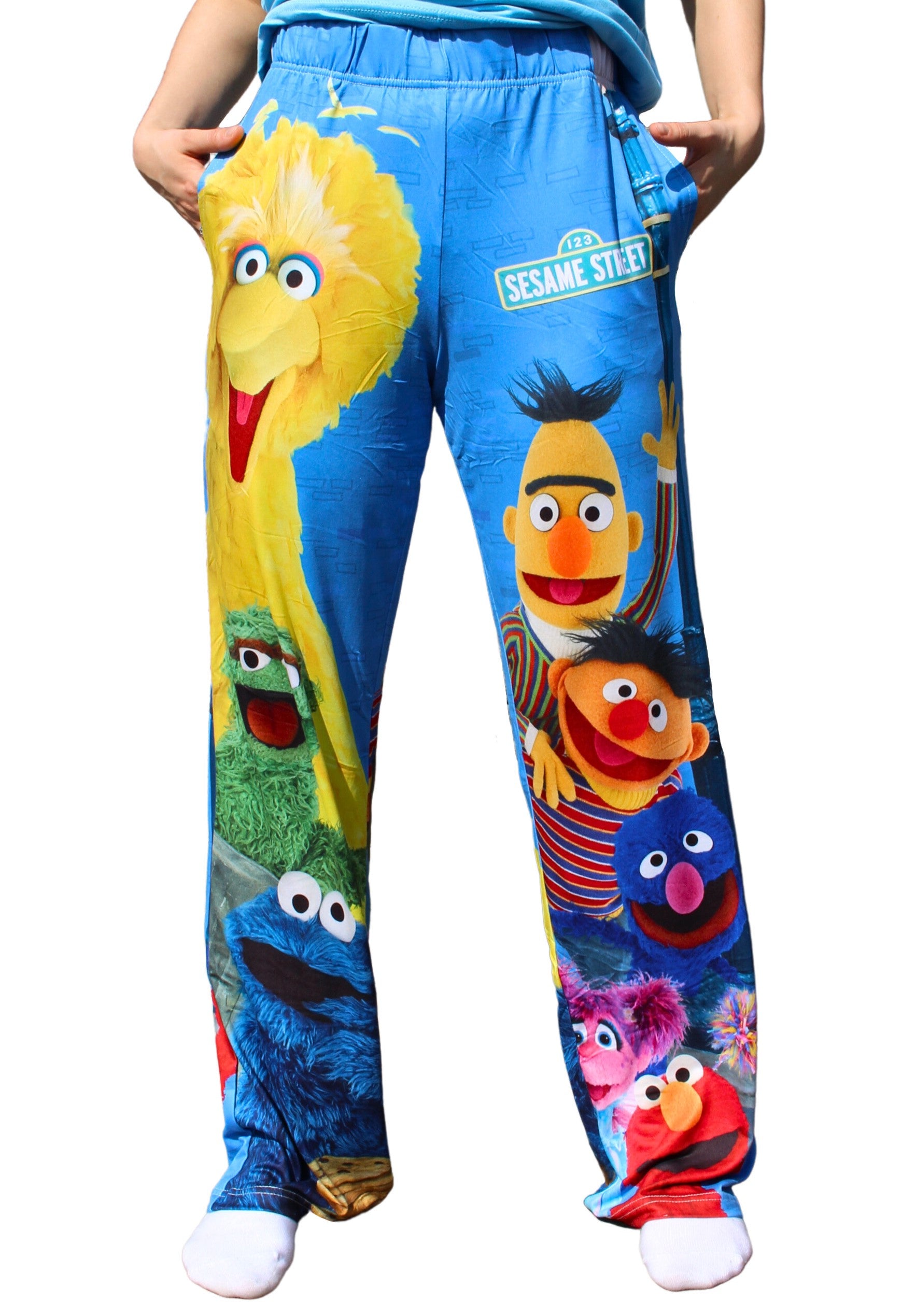 Sesame Street Group pants on model front waist down view