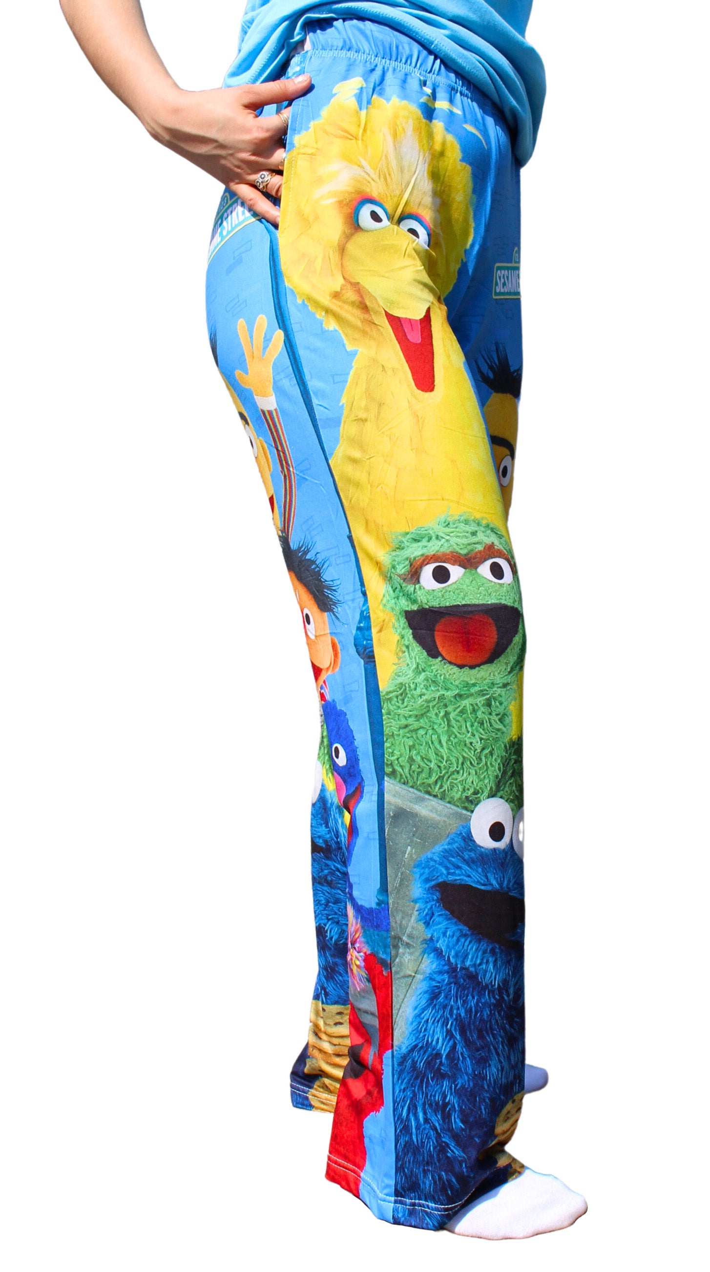Sesame Street Group pants on model side waist down view 