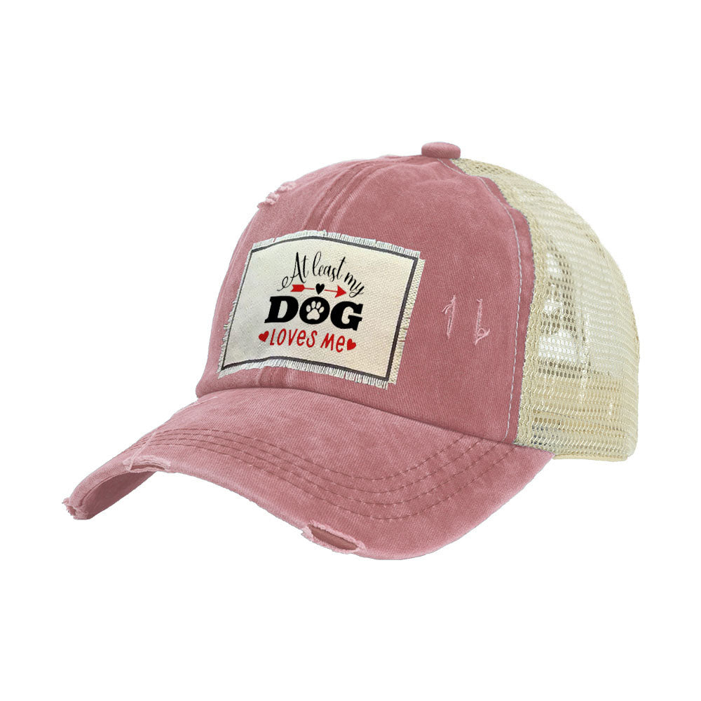 BRIEF INSANITY At Least My Dog Loves Me Vintage Distressed Trucker Adult Hat