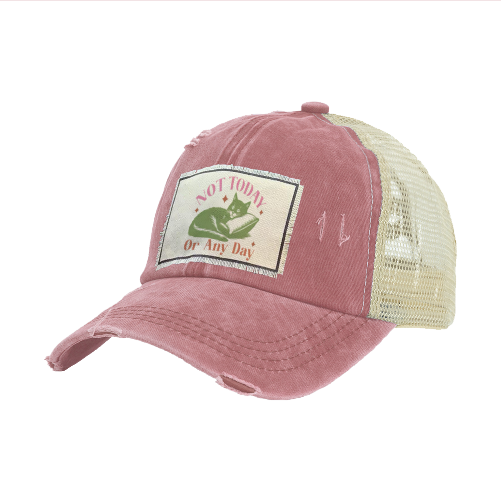 BRIEF INSANITY's Not Today Cat Vintage Distressed Trucker Adult Hat