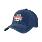BRIEF INSANITY's Feeding Mosquitos Faux Suede Patch Adult Cap