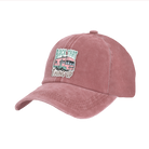 BRIEF INSANITY's Back That Thing Up Faux Suede Patch Adult Cap