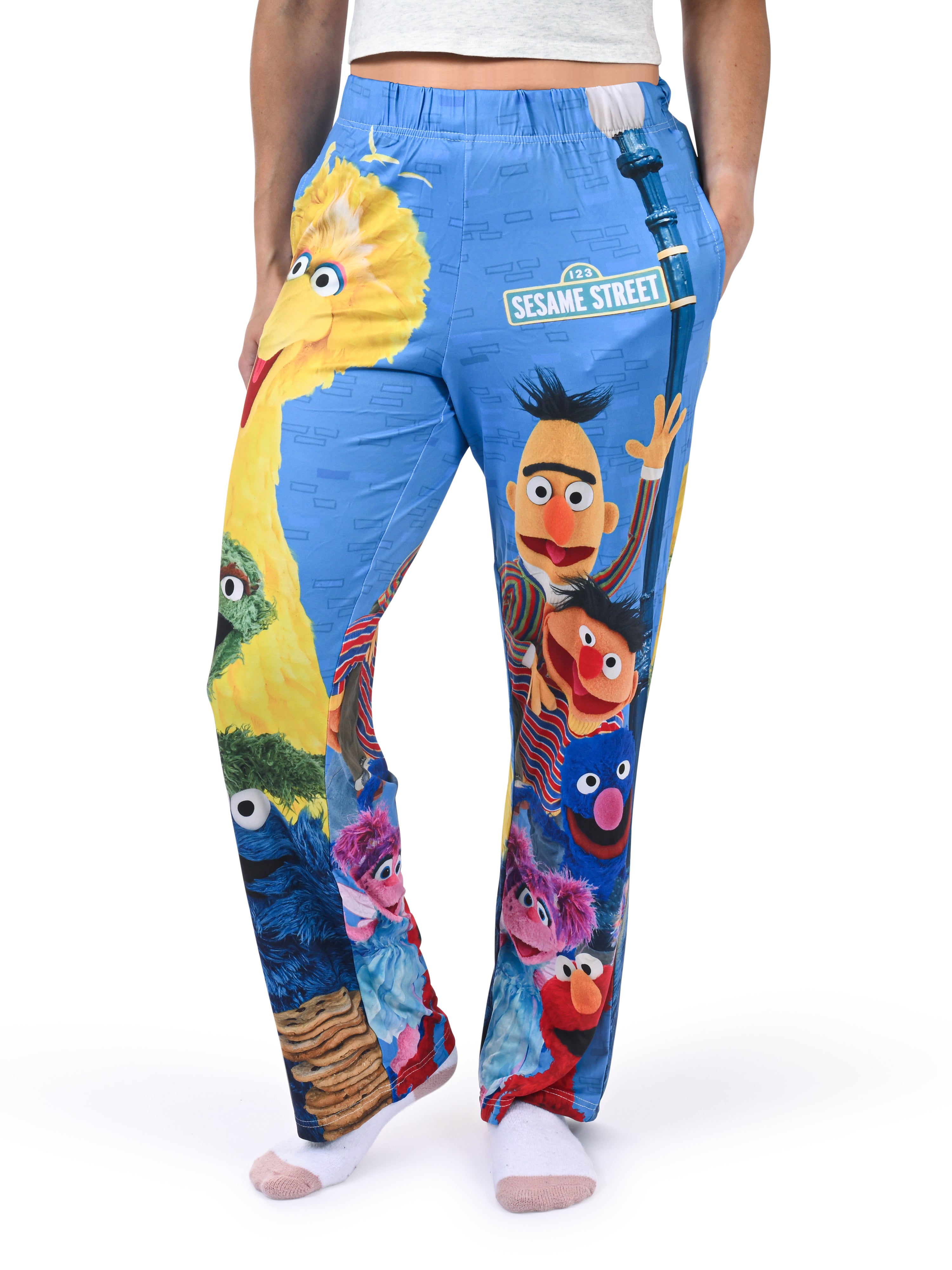 Sesame Street Group Lounge Pants side angle view