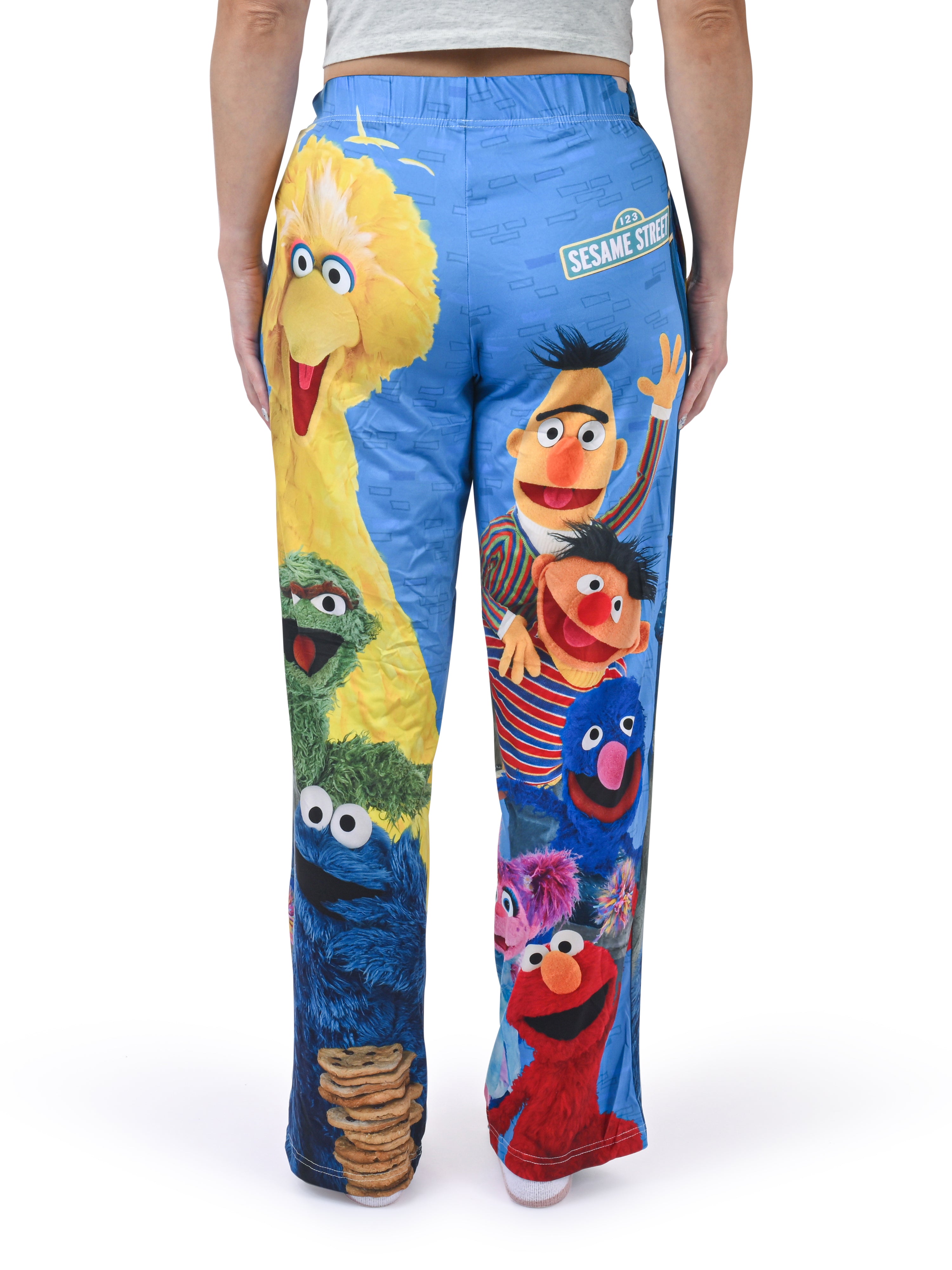 Sesame Street Group Lounge Pants back view