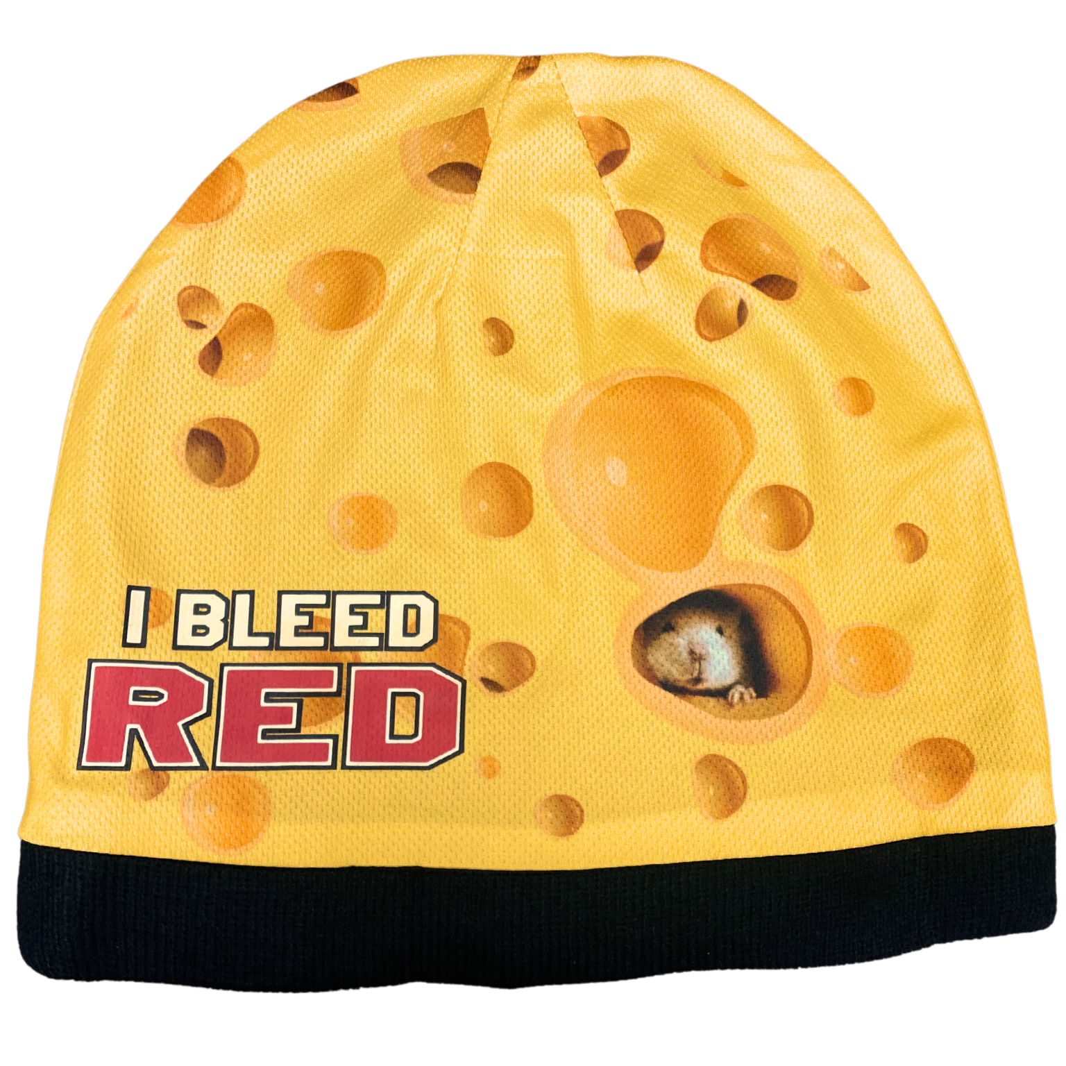 BRIEF INSANITY Wisconsin Cheese Head Adult Beanie - Back