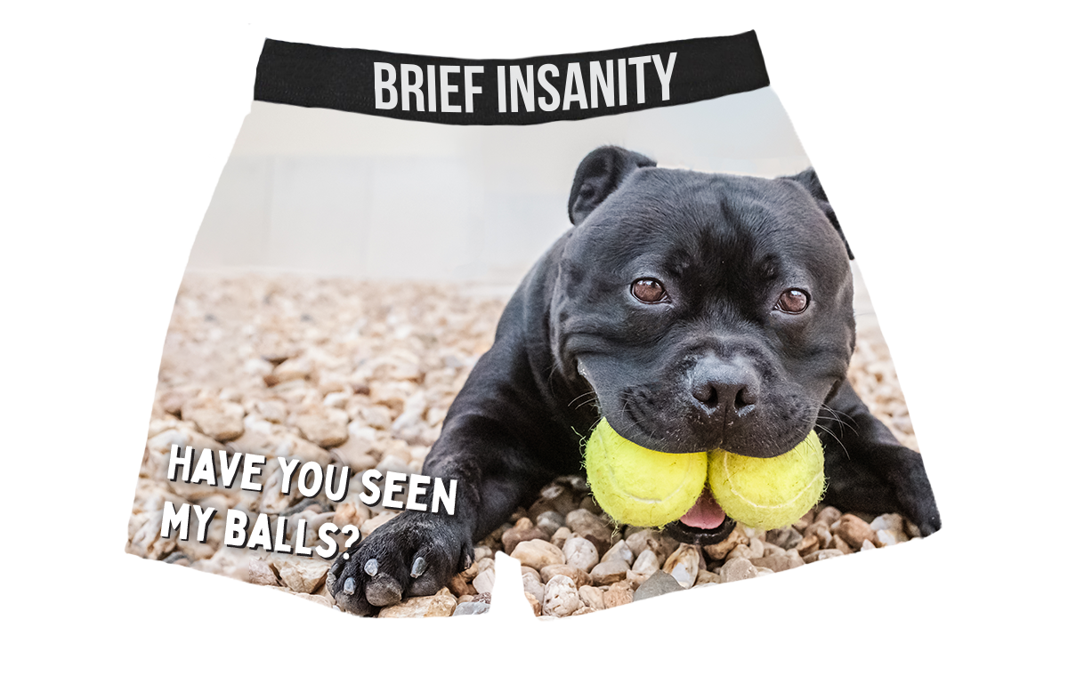 BRIEF INSANITY Have You Seen My Balls? Boxer Shorts
