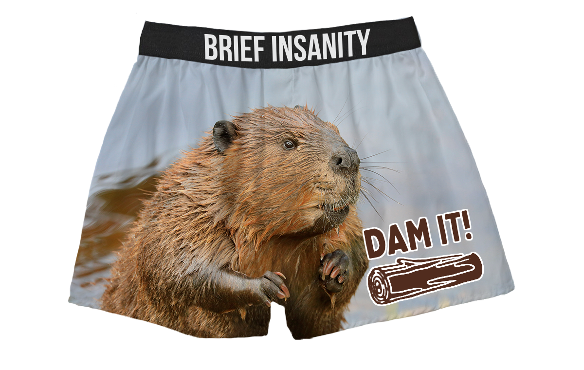 BRIEF INSANITY Dam It Beaver Boxer Shorts