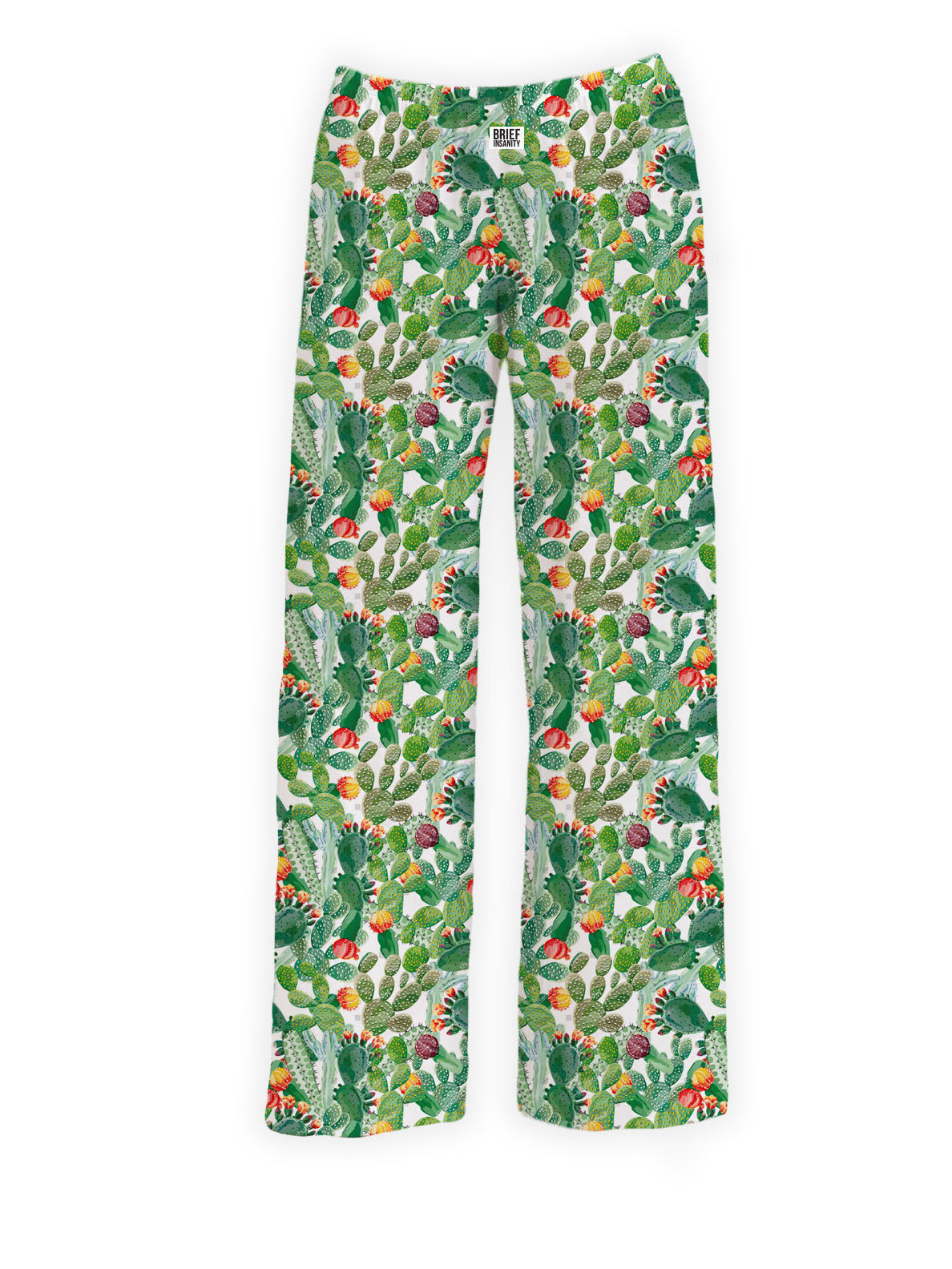 Buttery Soft Pajama Pants for Women – Artistic Colorful Cactus