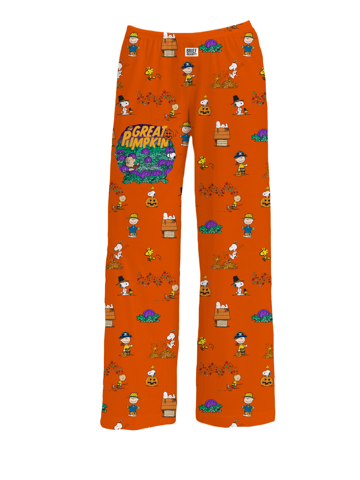 Snoopy and Friends Pajama Pants and More, Brief Insanity