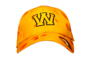 BRIEF INSANITY Wisconsin Cheese Adult Hat