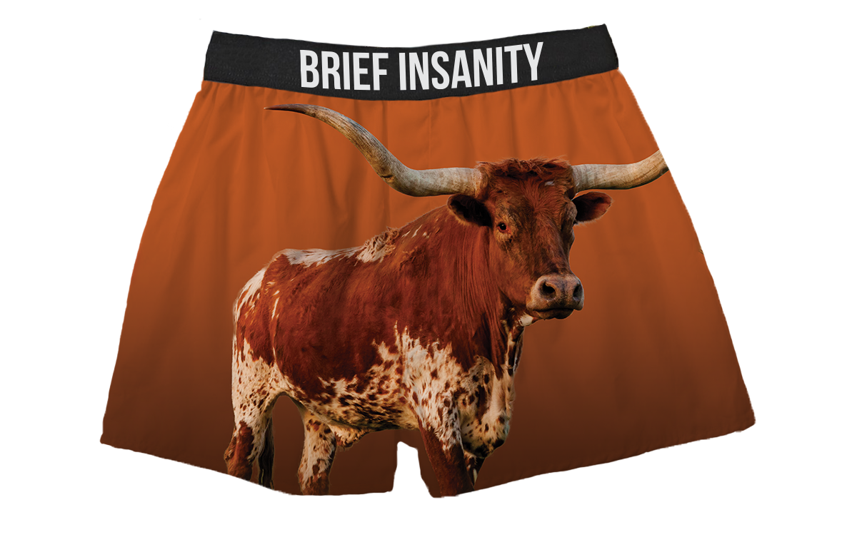 BRIEF INSANITY Longhorn Boxer Shorts